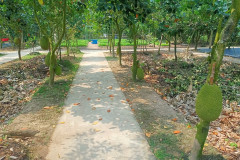 2026-01-28-Saigon-park-na-ostrove-1