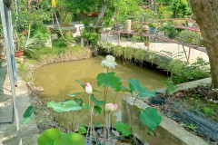 2026-01-28-Saigon-park-na-ostrove-13