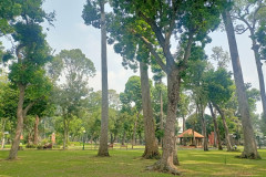 2026-01-27-Saigon-Tao-Dan-Park-7