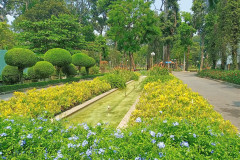 2026-01-27-Saigon-Tao-Dan-Park-8