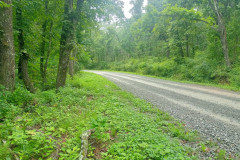 IMG20230809130303