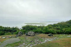 Vladivostok-Russkij-ostrov-les-3