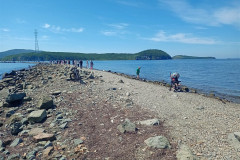 Vladivostok-Tokarevskaya-koshka-kolyaska