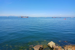 Vladivostok-Tokarevskaya-koshka-korabli-