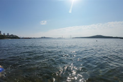 Vladivostok-Tokarevskaya-koshka-more-2