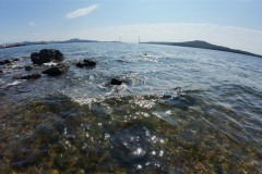 Vladivostok-Tokarevskaya-koshka-more-4