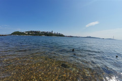 Vladivostok-Tokarevskaya-koshka-more-5