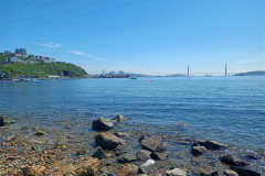 Vladivostok-Tokarevskaya-koshka-most