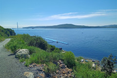 Vladivostok-Tokarevskaya-koshka-pirs-sverhu-5