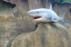 Vladivostok-okeanarium-akula-statuya