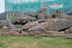 Vladivostok-okeanarium-naberezhnaya-3