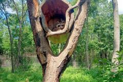 Safari-Park-Enot