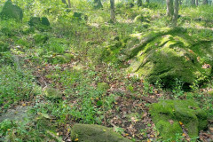 Safari-Park-Les-7