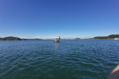 Vladivostok-velopoezdka-kater