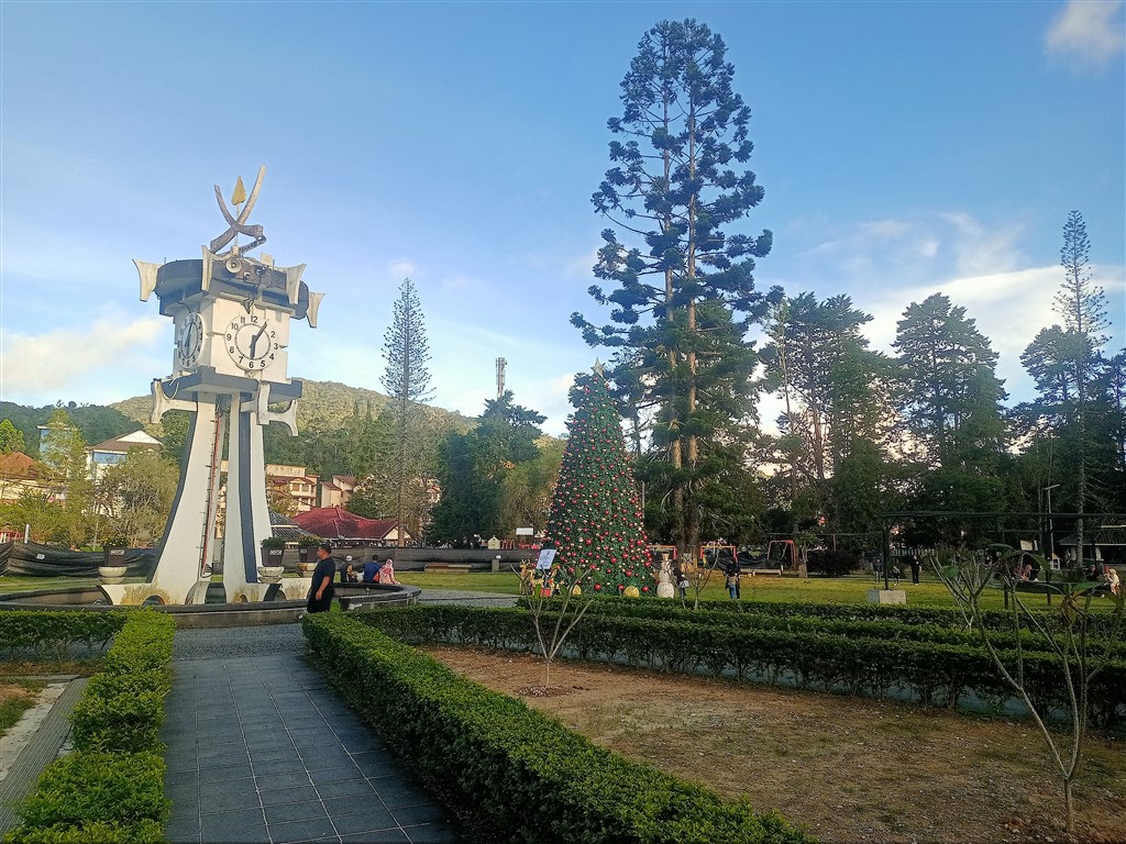 Cameroon Highlands 20 декабря 2025 город парк елка 3