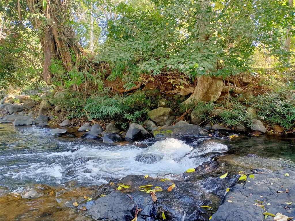 Лаос Паксе 22 января 2026 Gneuang Waterfall 15