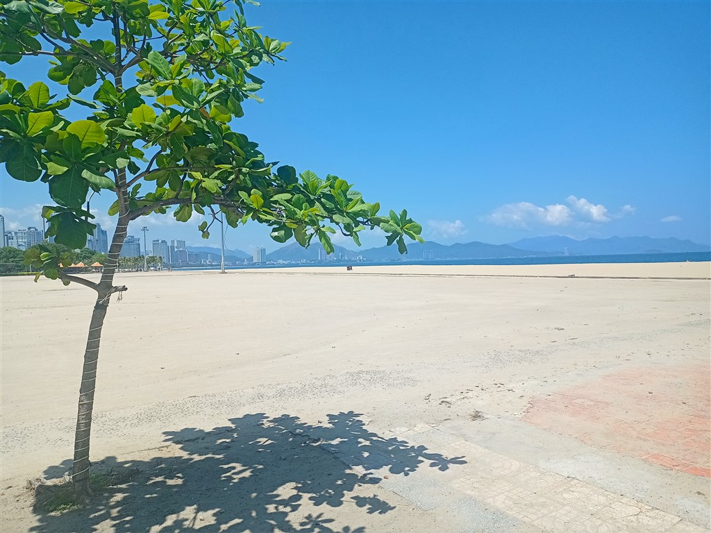 Ня Чанг 24 марта 2026 Youth Park Beach 7