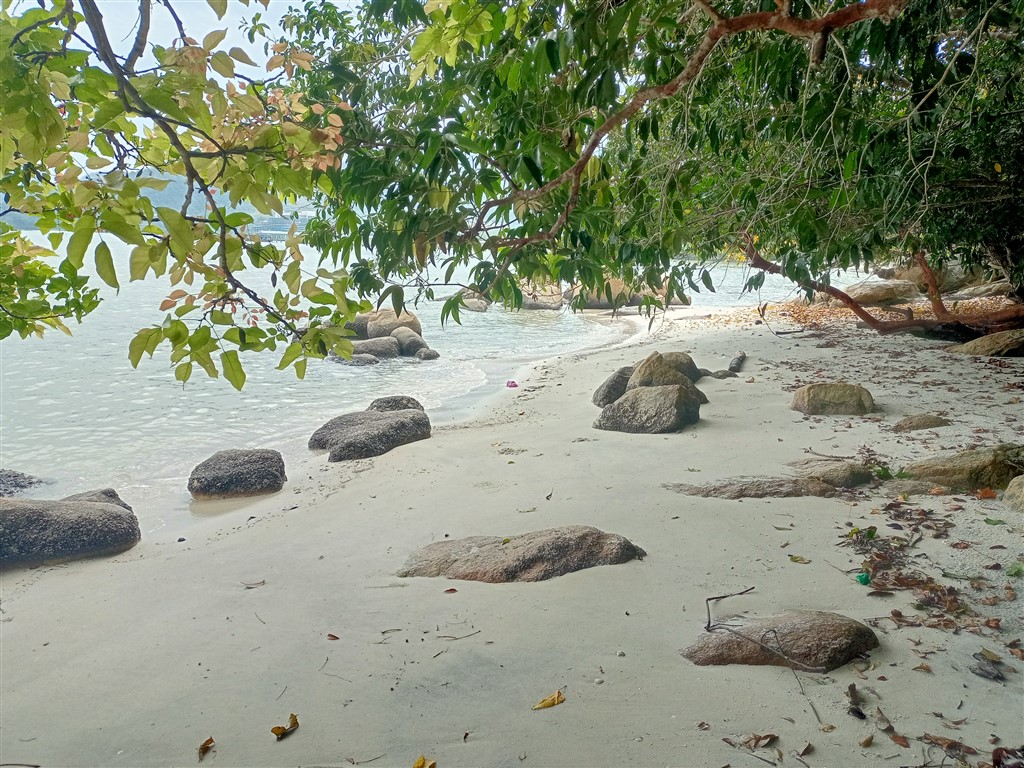 Пинанг 18 декабря 2025 Pejabat Taman Negara море 4