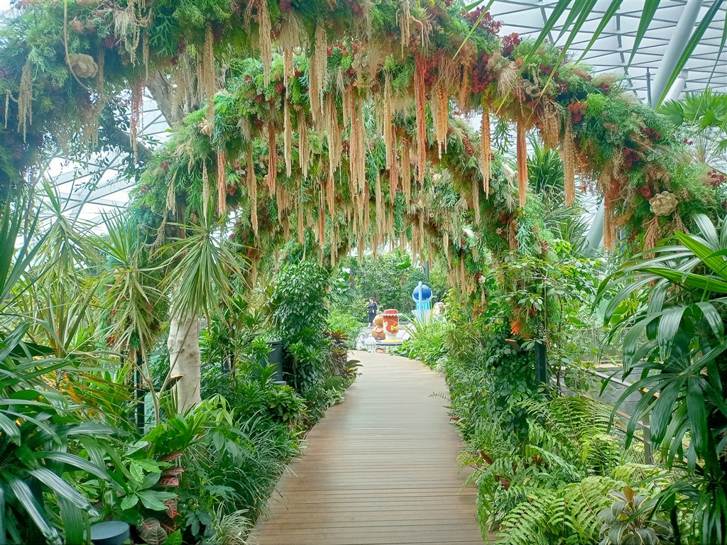 Сингапур 17 декабря 2025 Changi 12