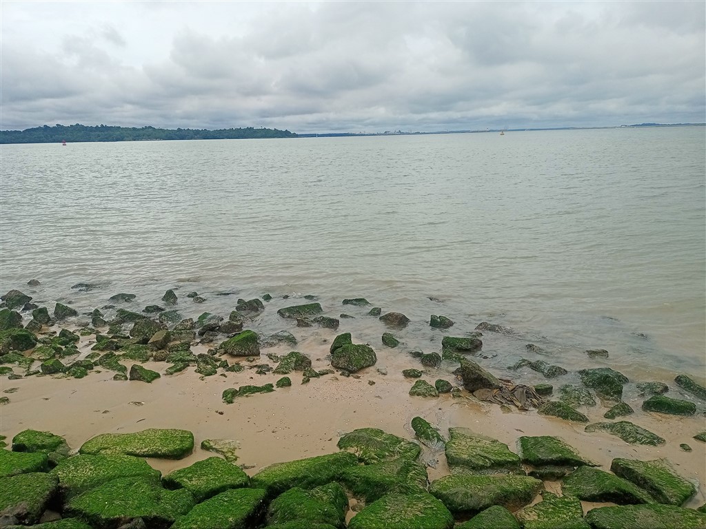 Сингапур 17 декабря 2025 Changi Beach парк 6