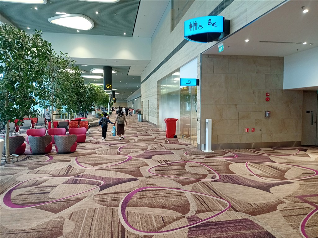 Деревья в зале ожидания Сингапур 17 декабря 2025 Changi терминал выхода