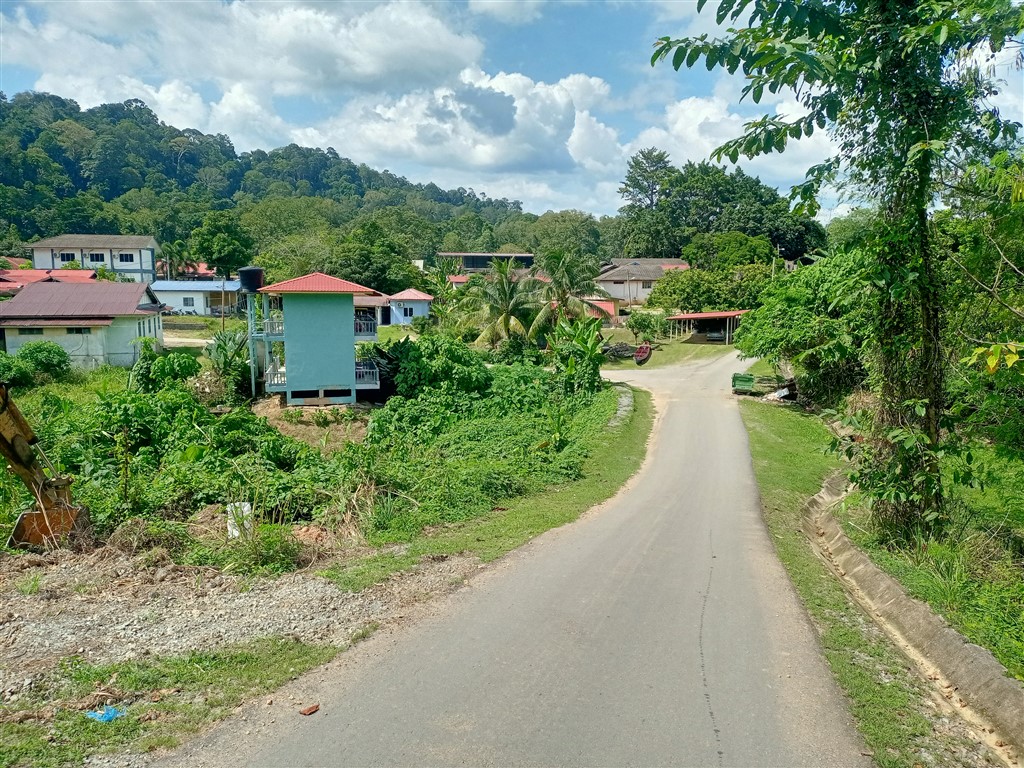 Taman Negara 21 декабря 2025 Kuala Tahan 1
