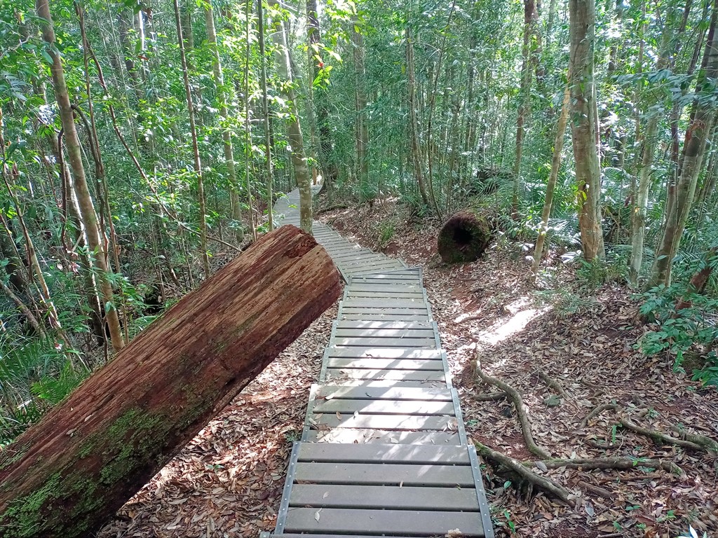 Taman Negara 21 декабря 2025 парк 38