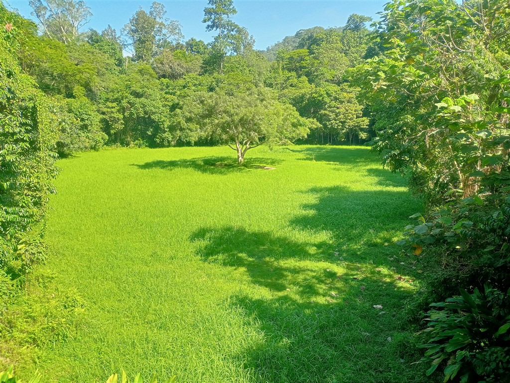 Taman Negara 23 декабря 2025 Mutiara Лес у реки 27