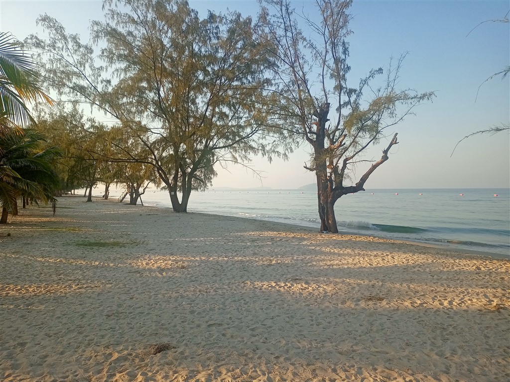 Otres Beach деревья - Сиануквиль 27 февраля 2025