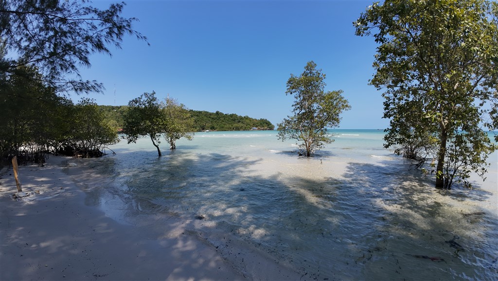 Palm Beach деревья в воде - Остров Ко Ронг 28 февраля 2025